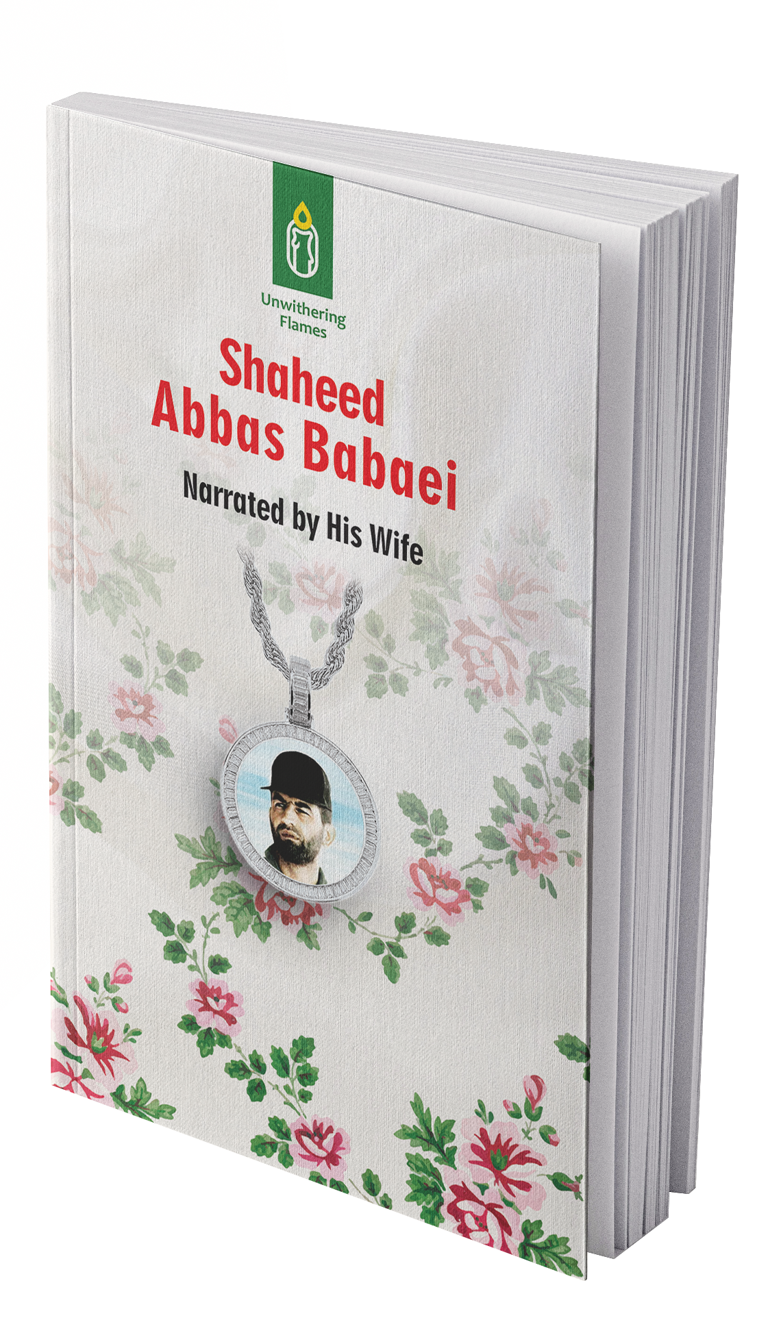 Shaheed Abbas Babaei - Image 3